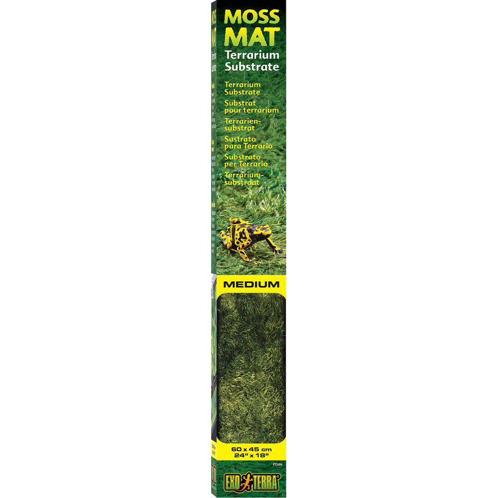 Moss Matta Medium 45X60Cm Exoterra