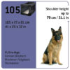 Mælson Dog Kennel 105