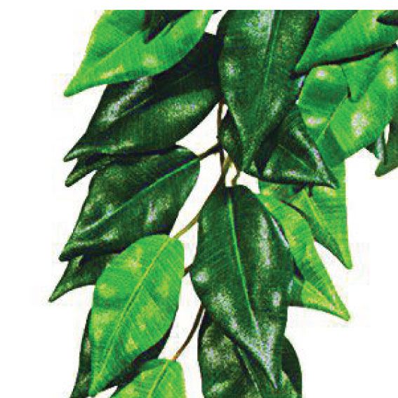 Ficus M Plastplante