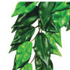Ficus S Plastplante