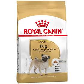 RC Breed Pug Adult 7,5 kg