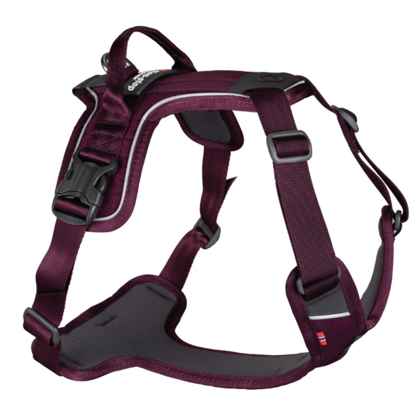Non-Stop Ramble Harness, Purple, S