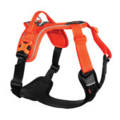 Non-Stop Ramble Harness, Orange/Black, S