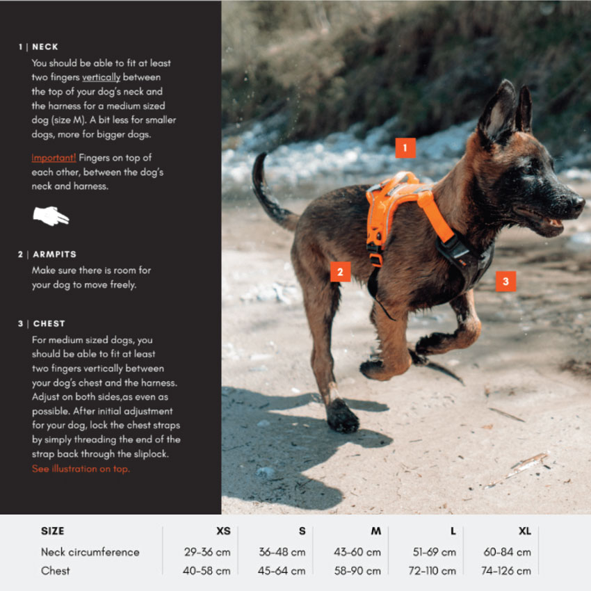 gallery-3533-for-7071652013376