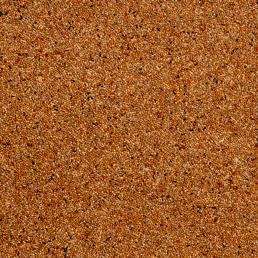 gallery-4833-for-5411860800122