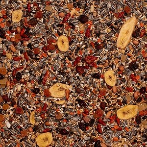 gallery-4834-for-5411860806476