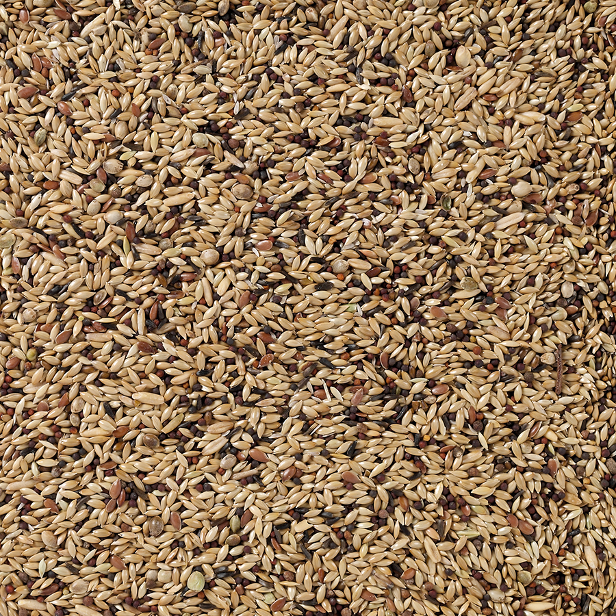 gallery-4837-for-5411860800085