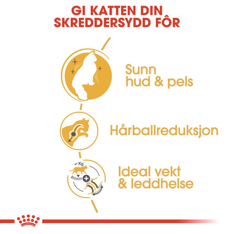 gallery-4939-for-3182550825405