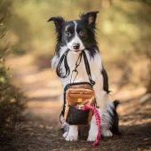 gallery-4961-for-6440000205779