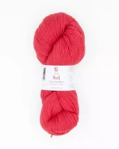 427 Sol - korall