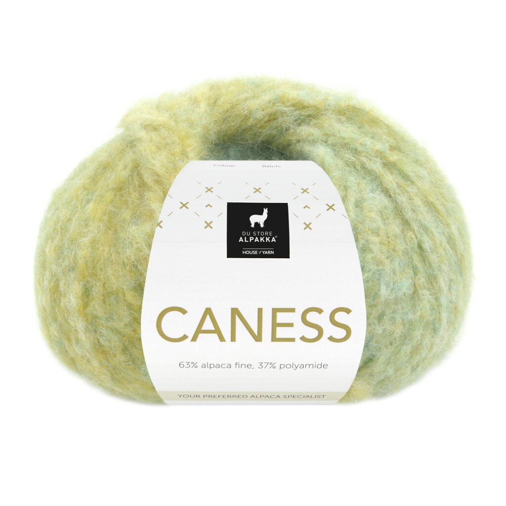 2504 Caness - caribbean kiwi