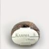 05 Kamma - camel