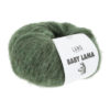 17 Baby Lama -