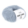 21 Baby Lama -