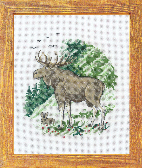 Elg, bilde 20x25cm
