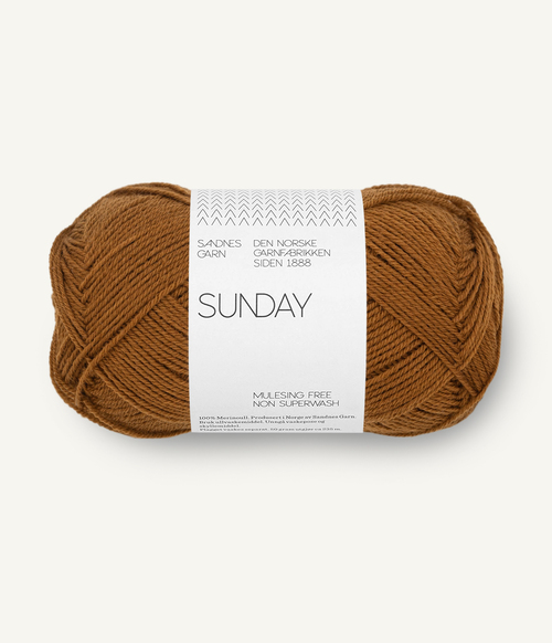 2573 Sunday - monk's robe