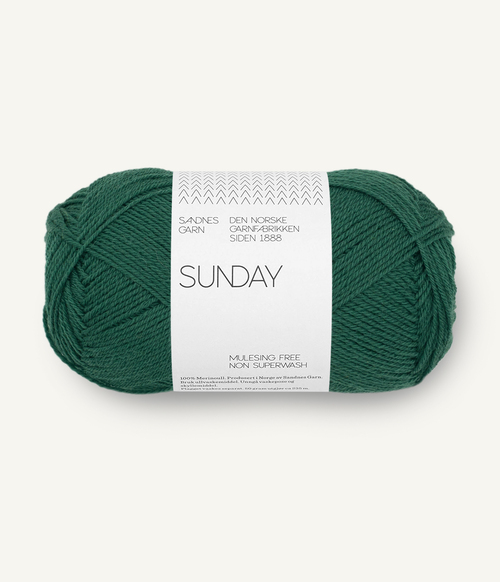 7772 Sunday - rainforest