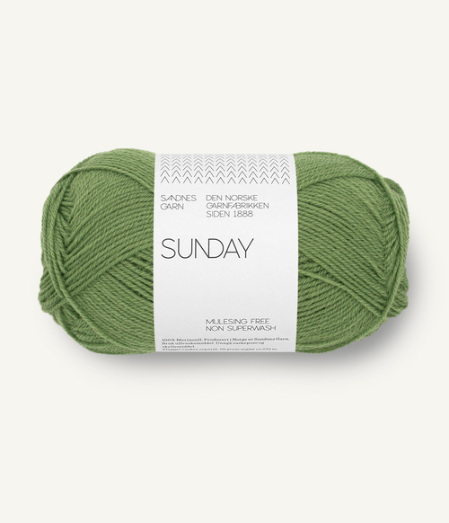 8753 Sunday - vineyard green
