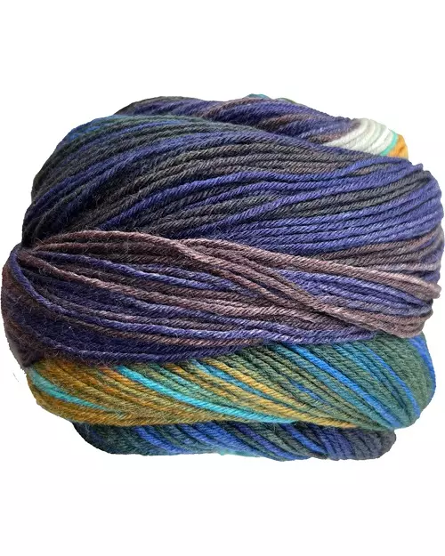 11 Solvej - den fortryllede skog