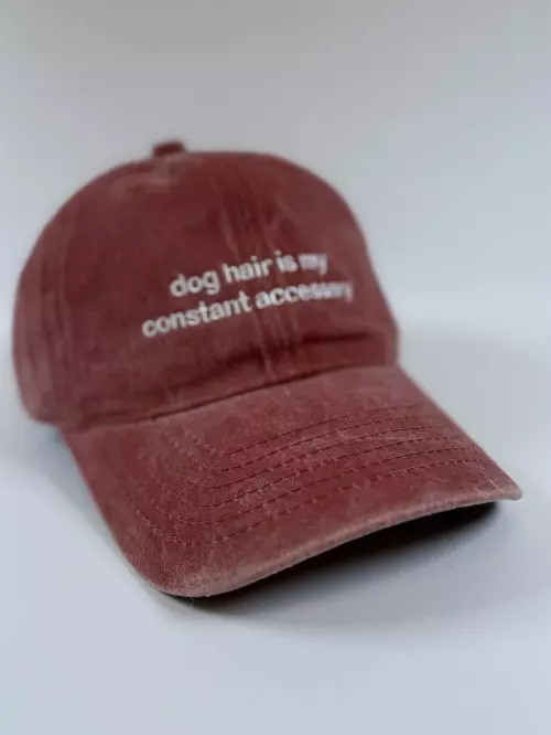 Caps - dog hair is my constant accessory, orange