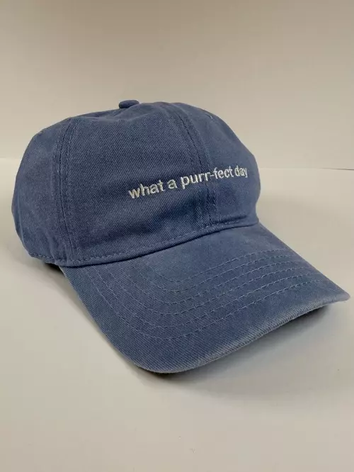 Caps - what a purr-fect day, lys blå