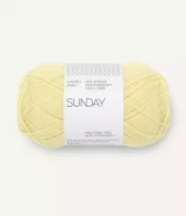 9602 Sunday - lemonade