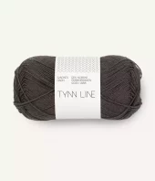 2581 Tynn Line - after dark