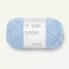 5812 Sunday - brunnera blue