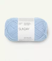 5812 Sunday - brunnera blue