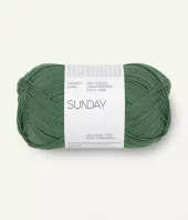 8073 Sunday - elm green