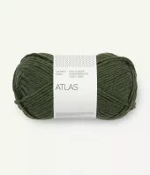 8571 Atlas - dark forest green