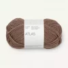 3161 Atlas - acorn