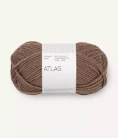 3161 Atlas - acorn