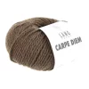 167 Carpe Diem - cocoa