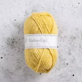 2640 Alafosslopi - arctic poppy