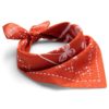 Amundsen Bandana