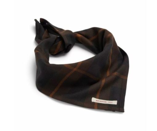 Amundsen Field Bandana