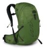 Osprey Talon 22 - Green