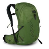 Osprey Talon 22 - Green