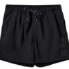 H2O Leisure Logo Swim Shorts - Black