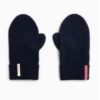 Amundsen Boiled Mittens - Faded Navy