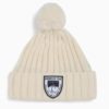 Amundsen Groomer Beanie