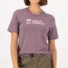 Mons Royale Icon Merino T-shirt - Mauve