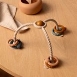Liewood Soren Suction Toy(784)