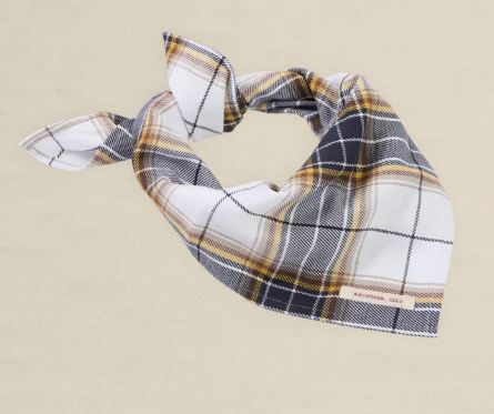 Amundsen Field Bandana