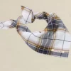 Amundsen Field Bandana