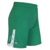Umbro Ux Elite Shorts "Grønn/hvit"