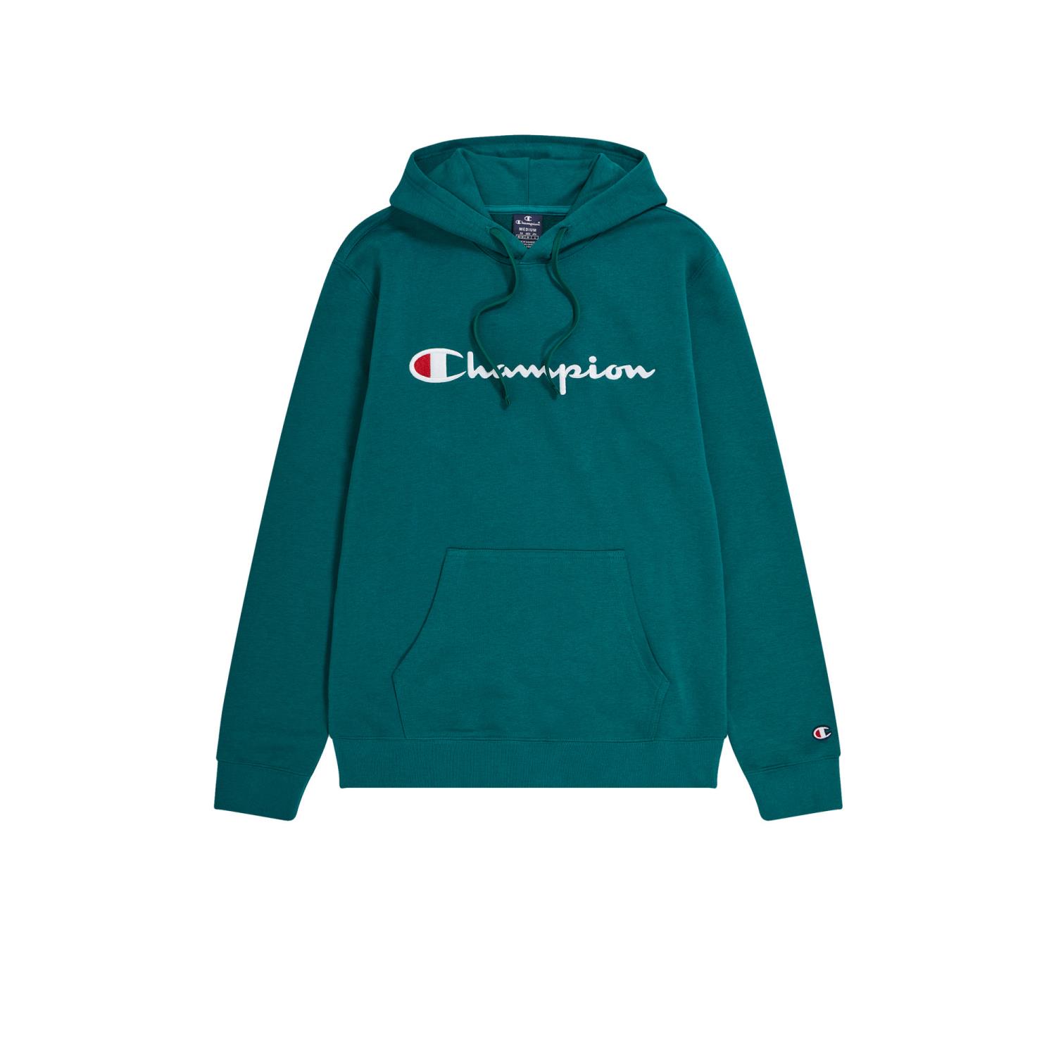 Icons Hooded sweatshirt large logo "Aventurine"-Champion