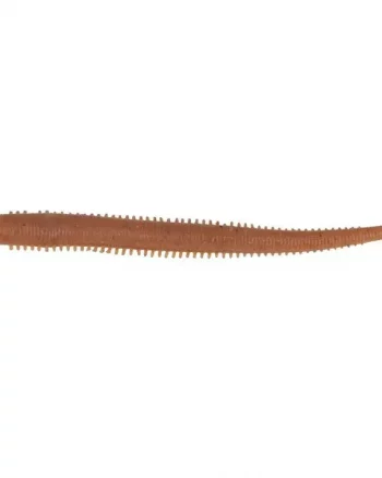 Gulp Fat Sandworm 10cm "Natural" - Berkley