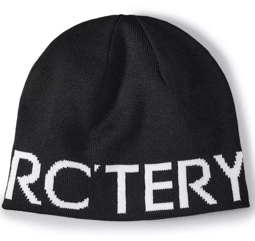 Word Head Toque "Orca" - ARCTERYX